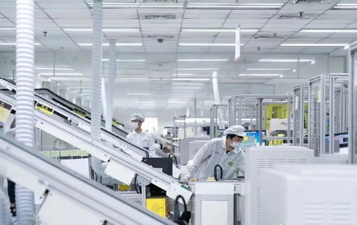 林雪萍 IT巨头隐形推手，中国液晶屏崛起背后的AI软件力量